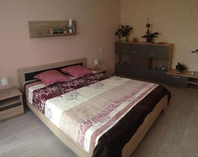 Апартаменты Apartment in Kaunas Каунас-14